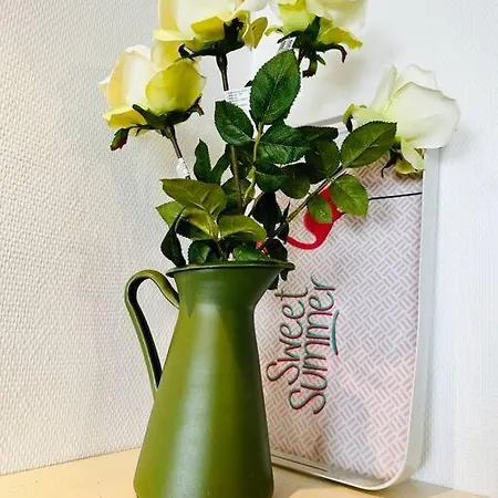 아파트 L'esquile Rose - En Hypercentre 툴루즈