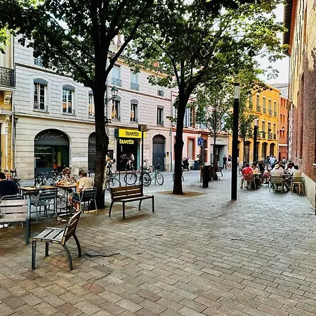 Apartmán L'esquile Rose - En Hypercentre Toulouse