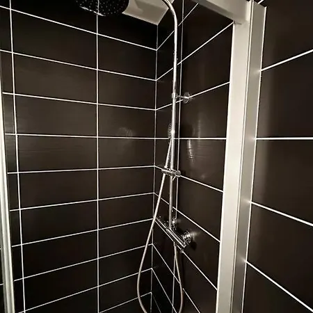 Apartman L'esquile Rose - En Hypercentre Toulouse